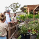 Santorini Sightseeing: Private Tour with Farm Lunch - Who Is This Tour Best For?