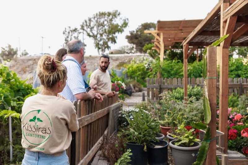 Santorini Sightseeing: Private Tour with Farm Lunch - Who Is This Tour Best For?