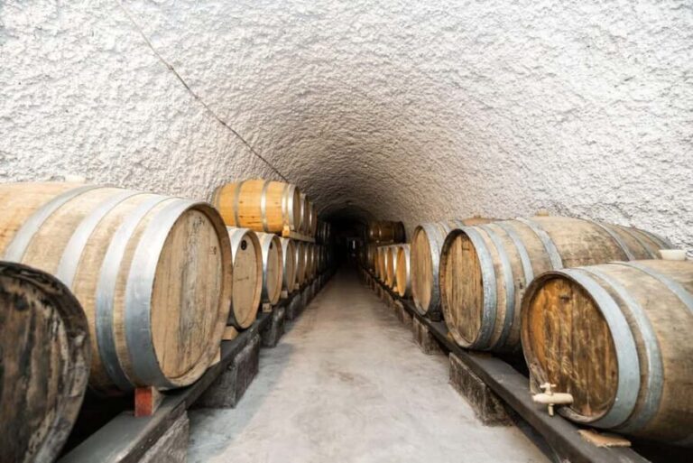 Santorini: Wine Tasting with Local Guide - The Itinerary Breakdown