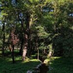 Sarajevo: Stojevac Nature Walk - Evaluating the Value: Price and Overall Experience