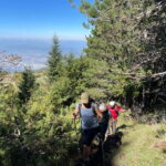 Sarajevo: Trebevi Mountain Summit Hiking Tour - Why We Loved This Experience