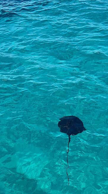 Sarandë: Cruise with Drinks, Snorkel at Shipwreck Swim Stops - What to Expect on the Day