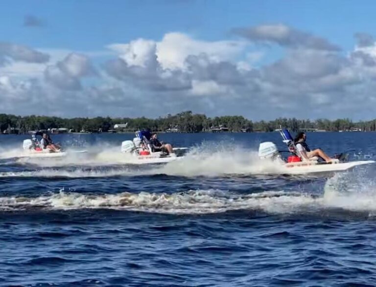 Sarasota: Island Adventures & Catamaran Speedboat Tour - Authentic Experiences from Past Guests