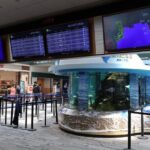 Sarasota Private Luxury Transportation - Final Thoughts: Is This the Right Choice for You?