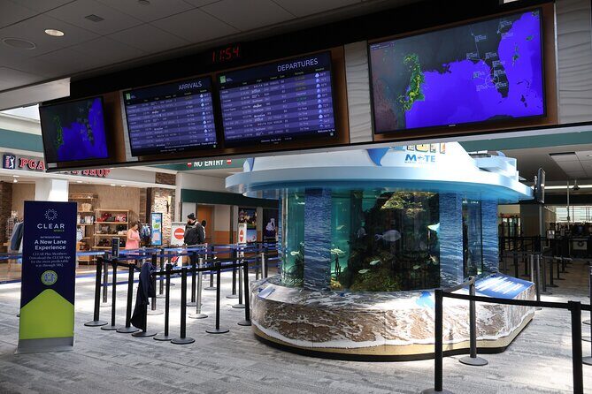 Sarasota Private Luxury Transportation - Final Thoughts: Is This the Right Choice for You?