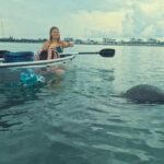 Sarasota Waterways Tour for All Ages - The Guides and Their Role