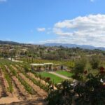 Saturday Legacy Wineries Wine Tour - Who Would Love This Tour?