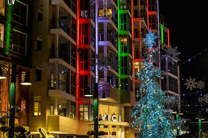 Savannah Holiday Sights and Festive Nights Trolley Tour - Who Will Love This Tour?