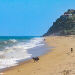 Sayulita and San Pancho Day Trip from Puerto Vallarta - Practical Details and Tips