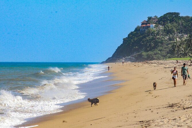 Sayulita and San Pancho Day Trip from Puerto Vallarta - Practical Details and Tips