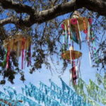 Sayulita: Guided Tour of the City - Additional Insights from Reviews