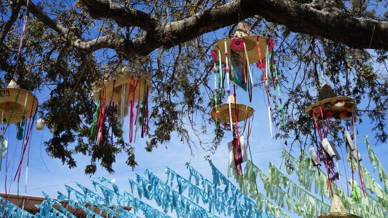 Sayulita: Guided Tour of the City - Additional Insights from Reviews