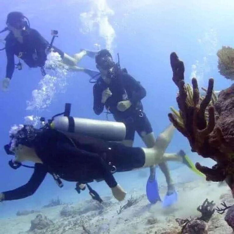 Scuba Cozumel: Experience from Boat, for Certified Divers - Starting Point and Logistics