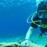 Scuba Diving Adventure in Riviera Maya Small Group Experience - Who This Tour Is Best For