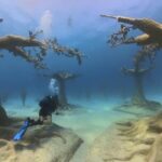 Scuba Diving Experience & MUSAN Dive + Free Edited Video 2xdives - Practical Details and Logistics