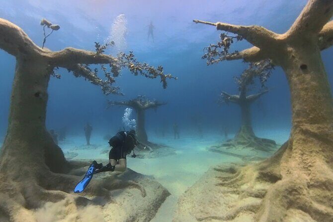 Scuba Diving Experience & MUSAN Dive + Free Edited Video 2xdives - Practical Details and Logistics