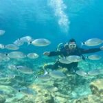 Scuba diving-private and individual No certification needed - In-Depth Look at the Experience