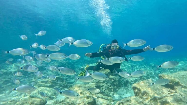 Scuba diving-private and individual No certification needed - In-Depth Look at the Experience