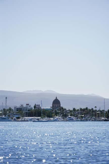 Sea Kayak Tour - Mangrove Safari - Final Thoughts: Is This the Tour for You?