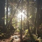 Sea to Sky Discovery Tour - The Practicalities: Pricing, Meeting Points, and Booking