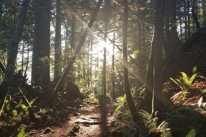 Sea to Sky Discovery Tour - The Practicalities: Pricing, Meeting Points, and Booking