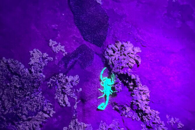 Sedona Night Hike and Stargazing - Who Should Consider This Tour?