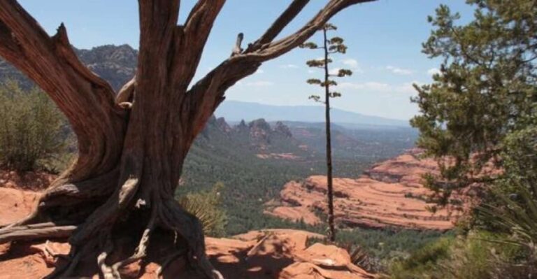 Sedona: PRIVATE 2-Hour Colorado Plateau Scenic Jeep Tour - The Route and Its Highlights
