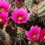 Sedona: PRIVATE Pavement 2-Hour Highlights Jeep Tour - Who Should Consider This Tour?