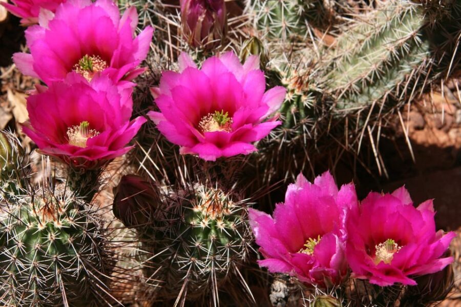 Sedona: PRIVATE Pavement 2-Hour Highlights Jeep Tour - Who Should Consider This Tour?