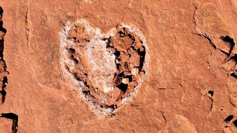 Sedona: The Scientific and Spiritual Vortex Tour - Who Should Consider This Tour?