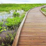 Self-Guided Audio Driving Tour in Creole Nature Trail - What Travelers Say: Authentic Insights