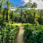 Self Guided Hike Trail to Nature Walk & Waterfall - What You’ll Experience on the Tour