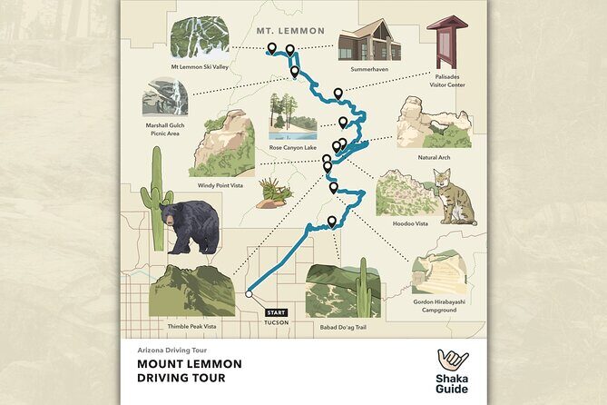 Self Guided Mt. Lemmon Scenic Byway Driving Tour - The Sum Up