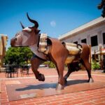 Self-Guided Napa Art Walking Tour - Overview of the Self-Guided Napa Art Walking Tour