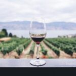 Self Guided Tour of Solvang and Santa Ynez Wine Country - The Experience: What to Expect from This Tour