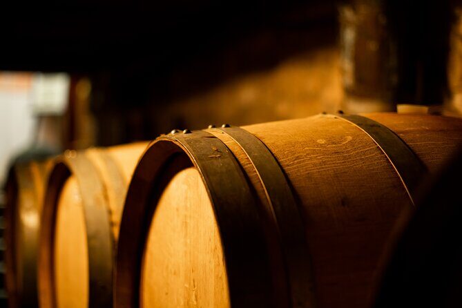 Sella delle Spine Taurasi: Tasting, Vineyard and Cellar Tour - What Reviews Reveal About the Tour