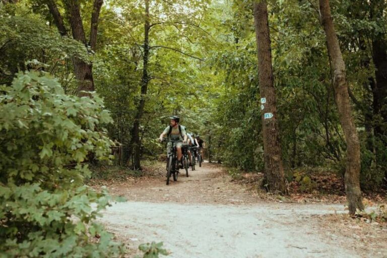 Semi-Private Off-Road eBike Tour in The Buda Hills - The Itinerary Breakdown