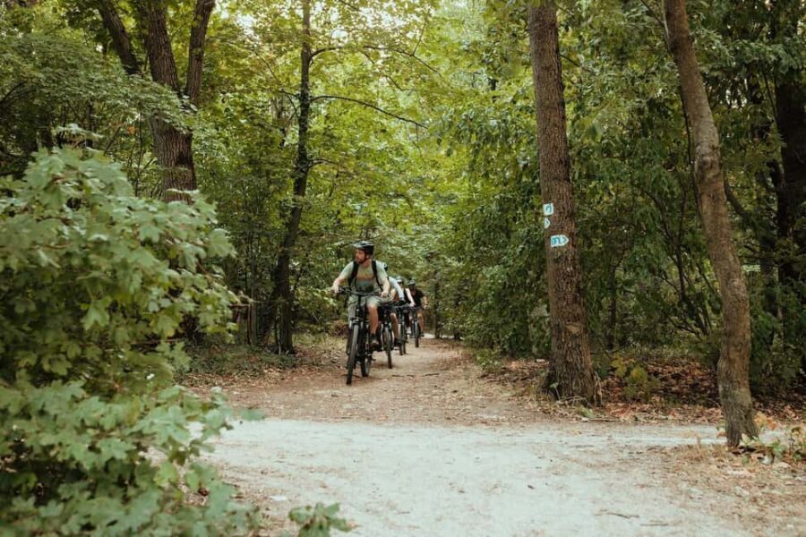 Semi-Private Off-Road eBike Tour in The Buda Hills - The Itinerary Breakdown