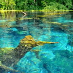 Semi-Private Tour; Pearls of Albania in 8 Days - Final Thoughts: Who Should Consider This Tour?