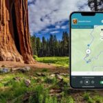 Sequoia and Kings Canyon Audio Tour Self Guide National Park Tour - Practical Considerations and Tips