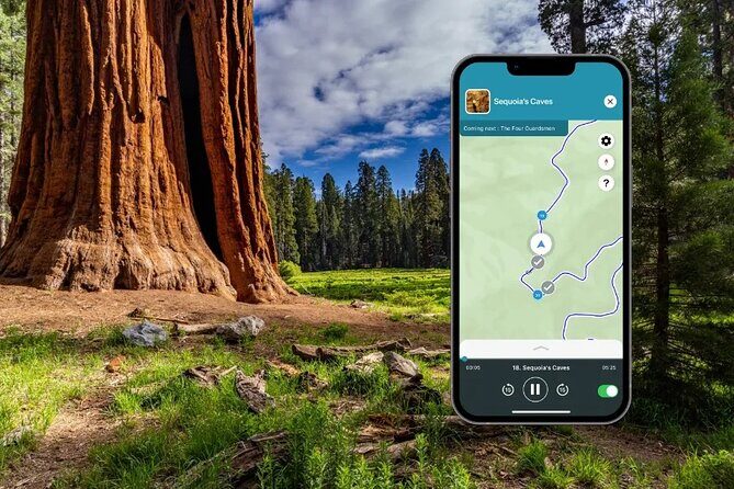 Sequoia and Kings Canyon Audio Tour Self Guide National Park Tour - Practical Considerations and Tips