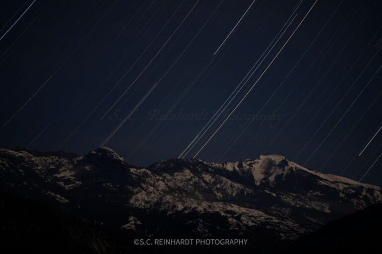 Sequoia National Park: Sherman Tree & Congress Trail Walk - Why This Tour Offers Great Value