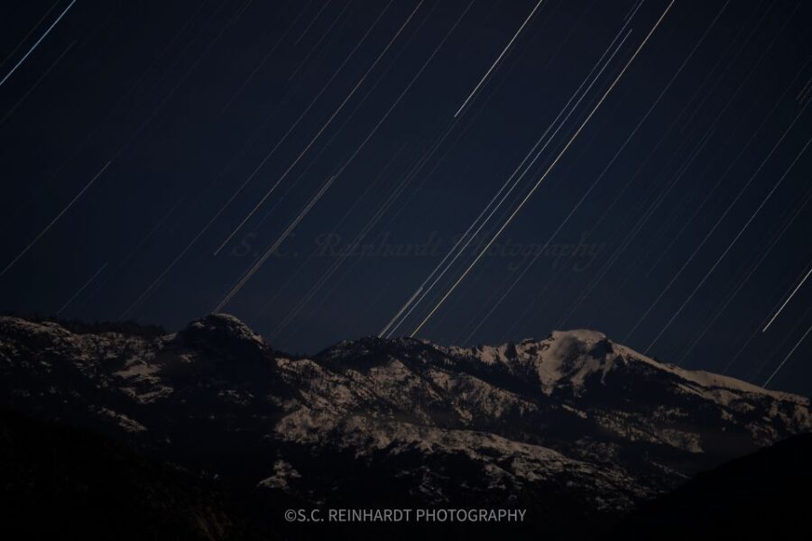 Sequoia National Park: Sherman Tree & Congress Trail Walk - Why This Tour Offers Great Value
