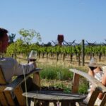 Serene and Romantic Wine Tasting Next to the Vines in Napa Valley - FAQ