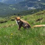 Seven Rila Lakes - Full Day Hiking Trip in the Rila Mountain - What to Expect from the Experience