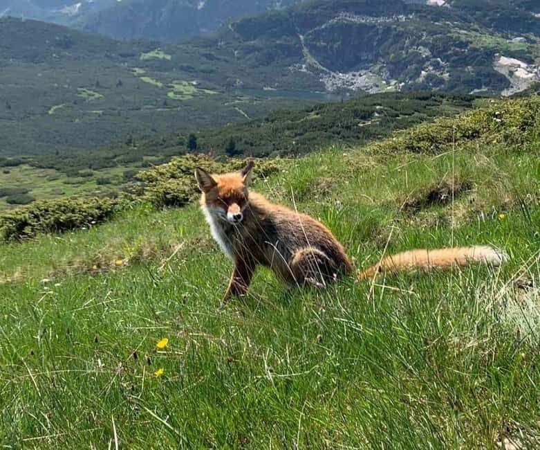 Seven Rila Lakes - Full Day Hiking Trip in the Rila Mountain - What to Expect from the Experience