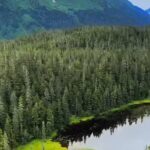 Seward Scenic 30 min Flight - The Itinerary in Detail