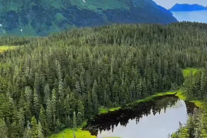 Seward Scenic 30 min Flight - The Itinerary in Detail