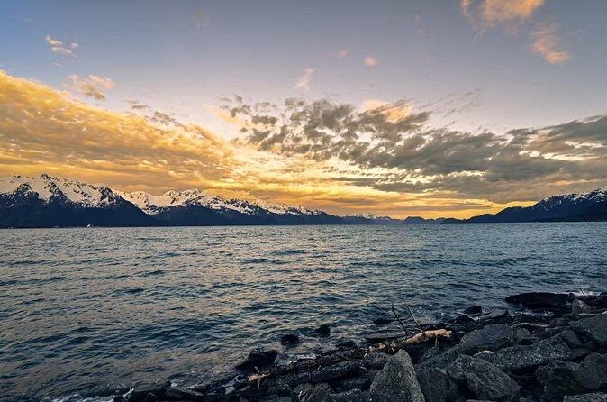 Seward to Anchorage Day Tour with Mulitiple Stops - Discovering Alaska’s Natural Wonders: What the Tour Offers