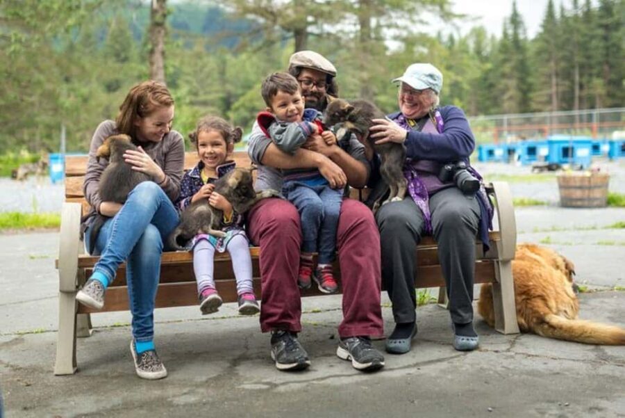 Seward: Turning Heads Kennel Tour & Dog Sled Ride - The Sled Dog Ride: A Thrilling 1.5 Miles